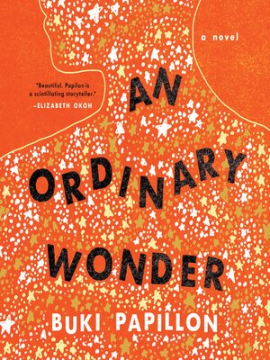 cover image of An Ordinary Wonder